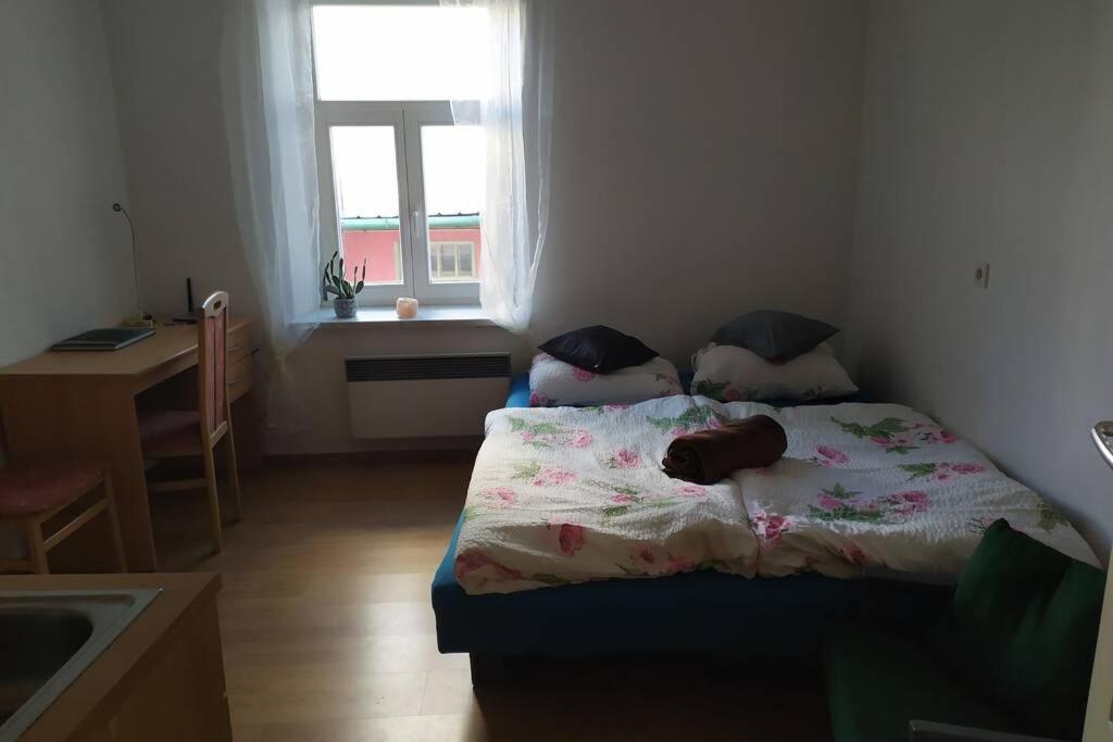 Apartman V Centru 奥洛穆茨 外观 照片