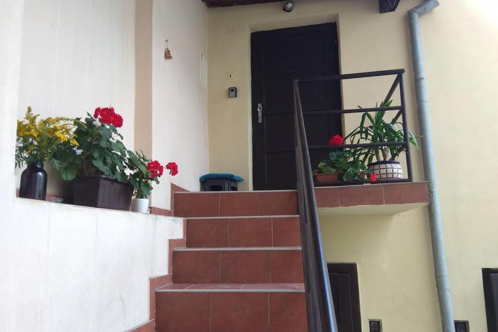 Apartman V Centru 奥洛穆茨 外观 照片