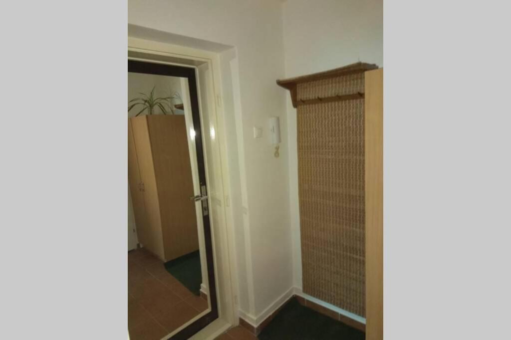 Apartman V Centru 奥洛穆茨 外观 照片
